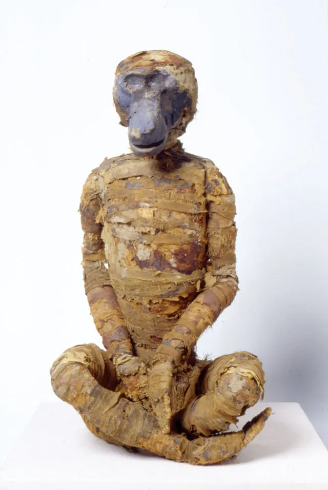 ヒヒのミイラの模造 － バラ十字古代エジプト博物館のコレクションから